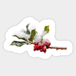 Snowy Holly Sticker